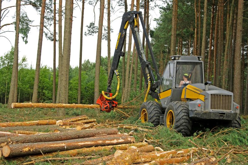 Land Clearing Equipment in Use