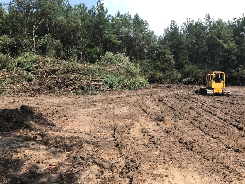 Experienced Land Clearing Crew