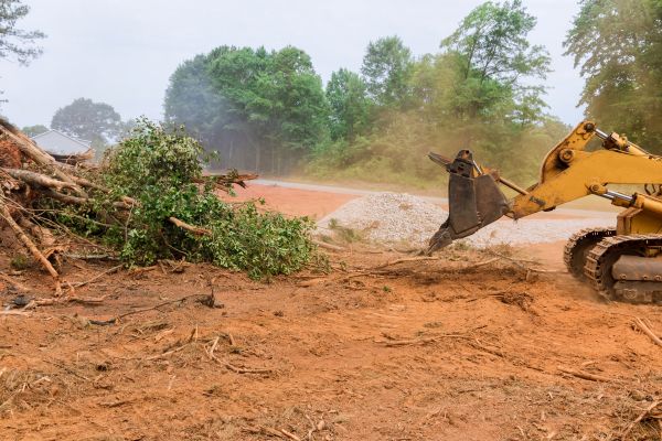 Ground Clearing in Ankeny