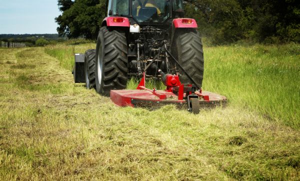 Brush Clearing Service in Ankeny