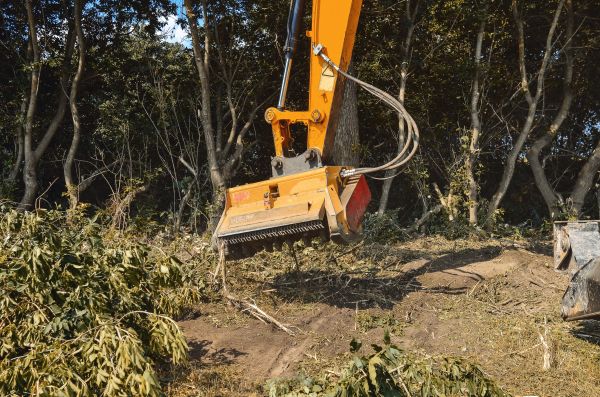 Brush Removal Service in Ankeny