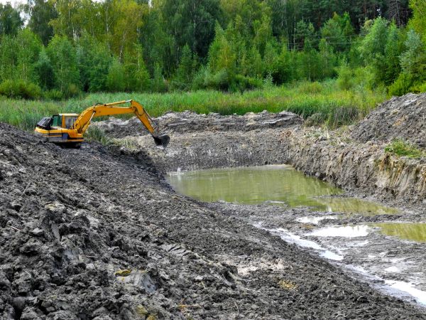Cost of Lake Lot Clearing in Ankeny