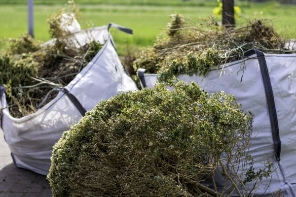 Bushes Clearing in Ankeny