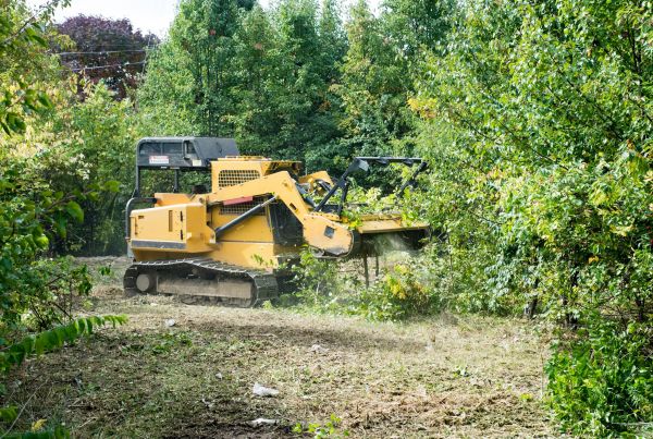 Cost of Pathway Clearing in Ankeny