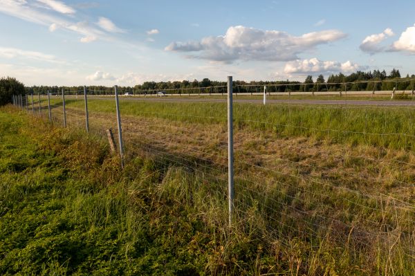 Cost of Property Line Clearing in Ankeny