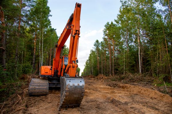 Cost of Backhoe Land Clearing in Ankeny