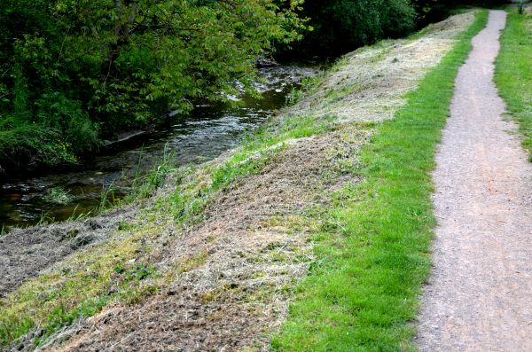 Cost of Trail Cutting in Ankeny